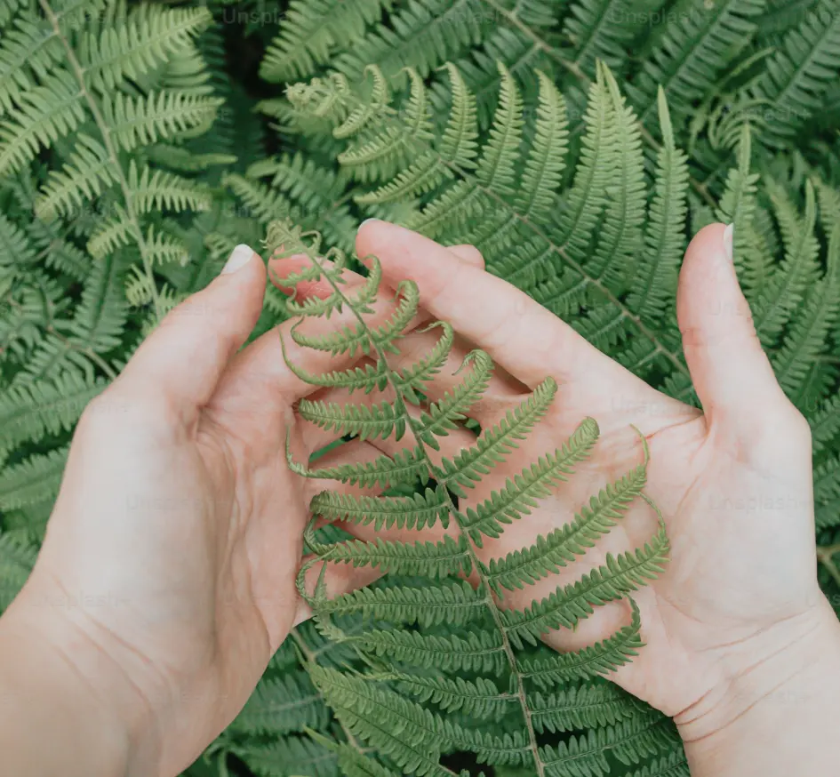 Árbol - Sostenibilidad Ambiental